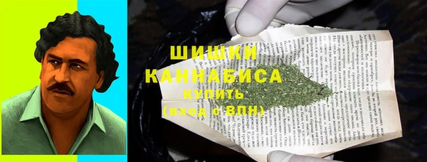 крисы Каменногорск