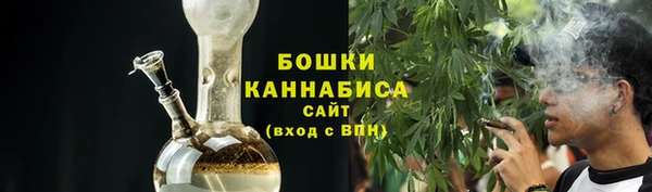 крисы Каменногорск