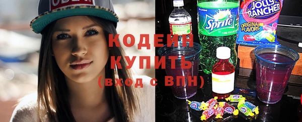 крисы Каменногорск