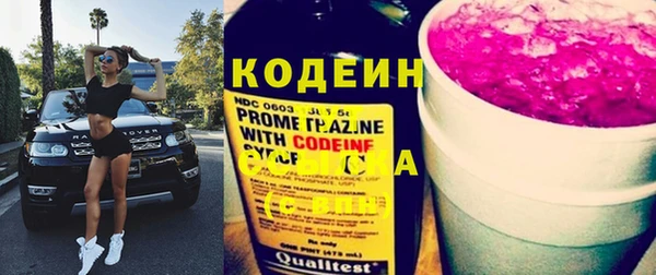 крисы Каменногорск