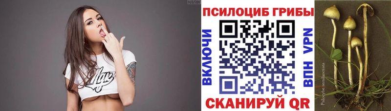 Купить  Гдов  Псилоцибиновые грибы GOLDEN TEACHER 